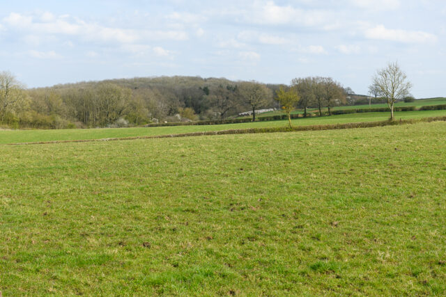 Launde Park Farm, the home of Carrington Bloodstock